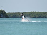 DSC 1317