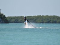 DSC 1318
