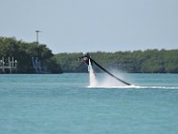 DSC 1319