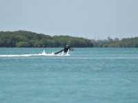 DSC 1335
