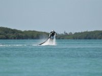 DSC 1336