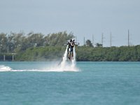 DSC 1352