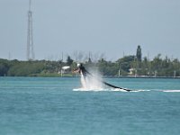 DSC 1355