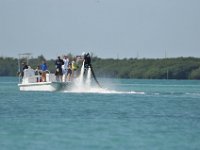 DSC 1361