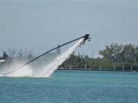 DSC 1384