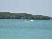 DSC 1392
