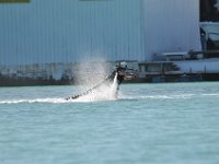 DSC 1462