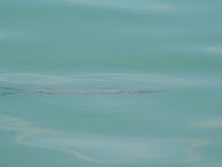 DSC 1465