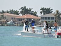 DSC 1517