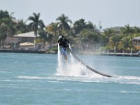 DSC 1537