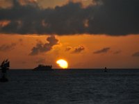 DSC 1230
