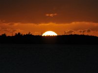 DSC 1264