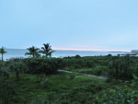 DSC 0924