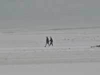 DSC 0956