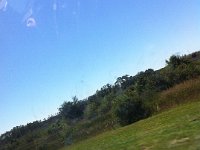 IMG 0847