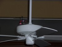 P1060036