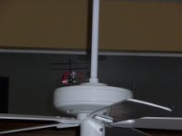 P1060037