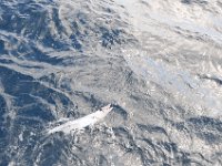 DSC 4717