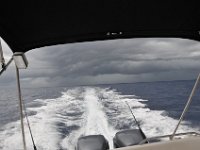 DSC 4727