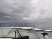 DSC 4741