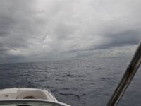 DSC 4742