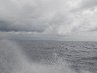 DSC 4744