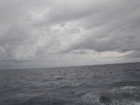 DSC 4745