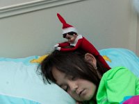 DSC 7004