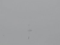 DSC 4434