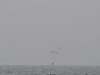 DSC 4442