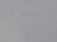 DSC 4467