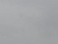 DSC 4469