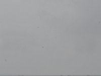 DSC 4470