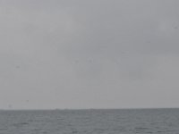 DSC 4471