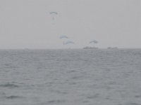 DSC 4477