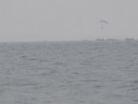 DSC 4486