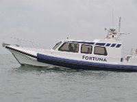 DSC 4123