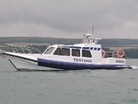 DSC 4131