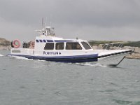 DSC 4145