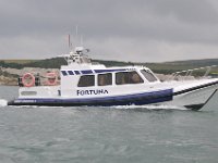 DSC 4146