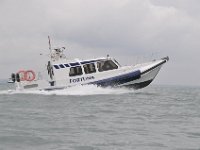DSC 4156