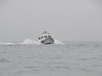 DSC 4172