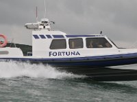 DSC 4186