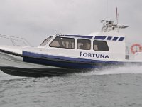 DSC 4204