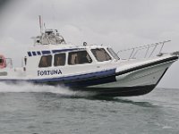 DSC 4215