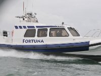 DSC 4216