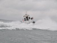 DSC 4238