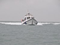 DSC 4263