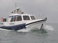 DSC 4273