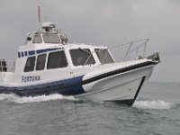 DSC 4275